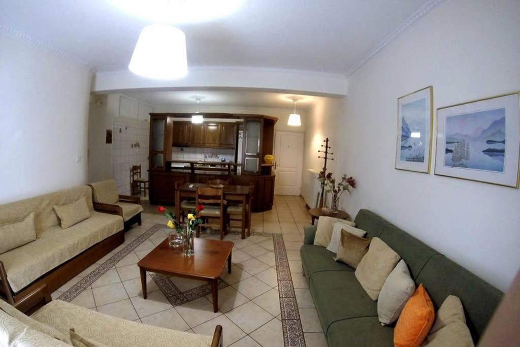Apartment Big 1 - Center Kalambaka